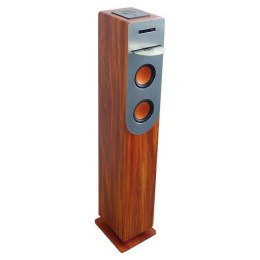 Głośnik Bluetooth Inovalley HP34-CD-WOOD 100W