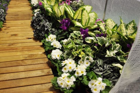 TUNEL FOLIOWY 200 X 300 CM (6 M2) BIAŁY