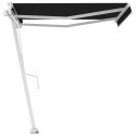 Wolnostojąca automatycznie zwijana markiza, 300x250cm, antracyt