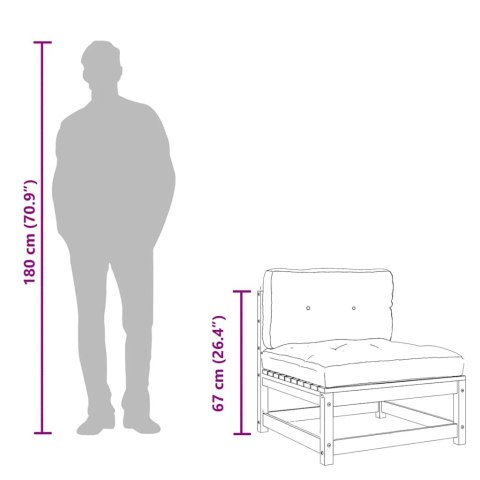 2-osobowa sofa ogrodowa z poduszkami, lite drewno sosnowe