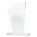Trofeum szklane grawerowane