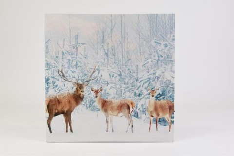 Obraz na ścianę "Jelenie w lesie", LED z timerem, 40 x 40 cm