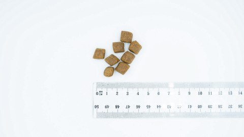 BULT łosoś i pstrąg sucha karma dorosłe psy 12kg