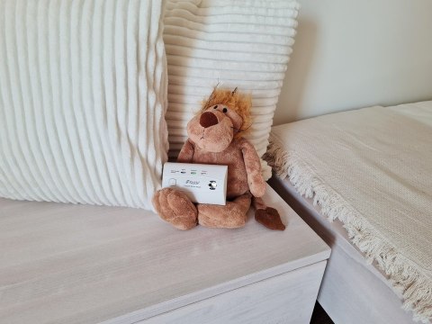 Czujnik dymu i tlenku węgla K10LLCO KIDDE