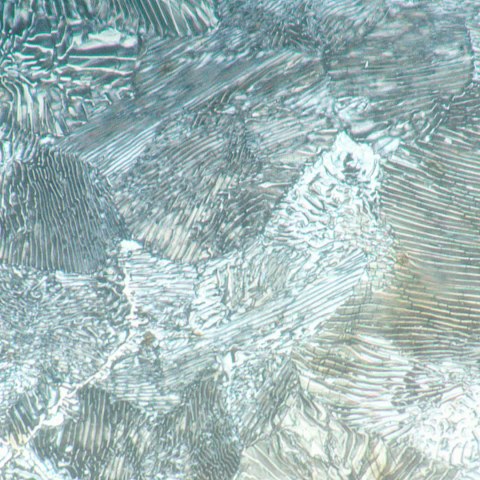 Mikroskop metalurgiczny MAGUS Metal 630 BD