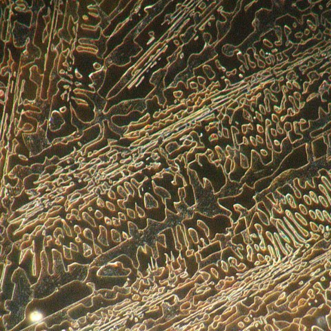 Mikroskop metalurgiczny MAGUS Metal 650 BD