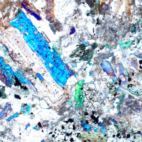 Mikroskop polaryzacyjny cyfrowy MAGUS Pol D850 LCD