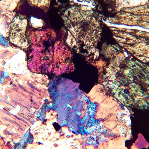 Mikroskop polaryzacyjny cyfrowy MAGUS Pol D850 LCD