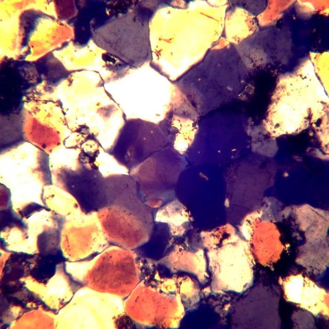 Mikroskop polaryzacyjny cyfrowy MAGUS Pol D850