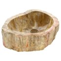 Kamienna umywalka Foresta, skamieniałe drewno