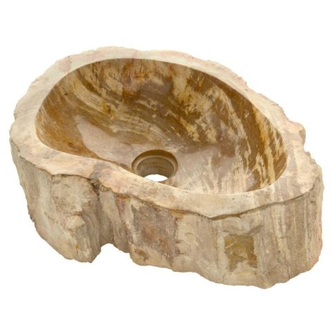 Kamienna umywalka Foresta, skamieniałe drewno
