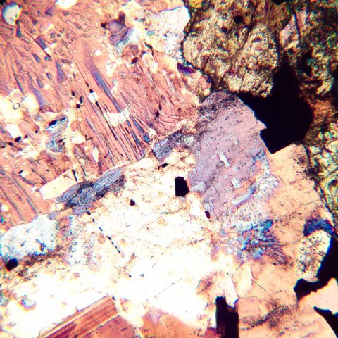 Mikroskop polaryzacyjny MAGUS Pol 800