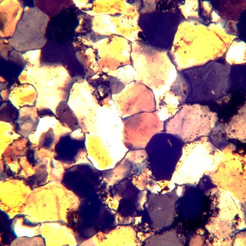 Mikroskop polaryzacyjny MAGUS Pol 800