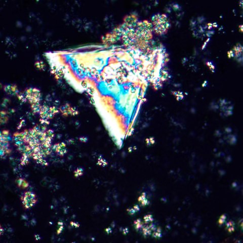 Mikroskop polaryzacyjny MAGUS Pol 850