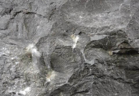 DIVERO umywalka z kamienia naturalnego - czarny marmur