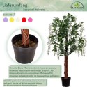 PLANTASIA Sztuczne drzewo 120 cm Wisteria żółta