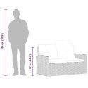 2-osobowa sofa ogrodowa z poduszkami, szara, 124 cm, rattan PE