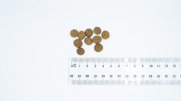 BULT Karma sucha z jagnię. dla psów małych ras 12kg