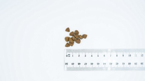 BULT Karma sucha z kaczką i indykiem szczeniąta 3kg