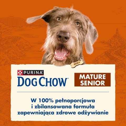 PURINA Dog Chow Mature Senior z jagnięciną - sucha karma dla psa - 14 kg
