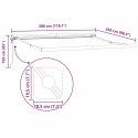 Automatyczna Markiza Retrakcyjna Pasiasta 300x250 cm