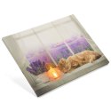 Obraz podświetlany - Fototapeta kot, 1 LED, 30 x 40 cm