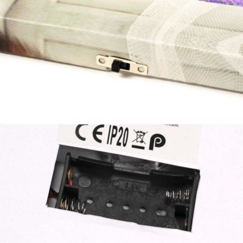 Obraz podświetlany - Fototapeta kot, 1 LED, 30 x 40 cm