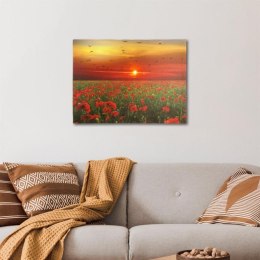 Obraz podświetlany - maki , 1 LED, 30 x 40 cm