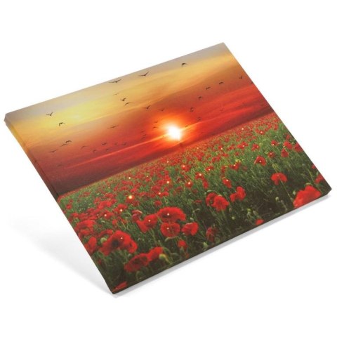 Obraz podświetlany - maki , 1 LED, 30 x 40 cm