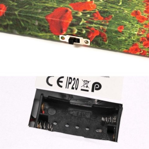 Obraz podświetlany - maki , 1 LED, 30 x 40 cm