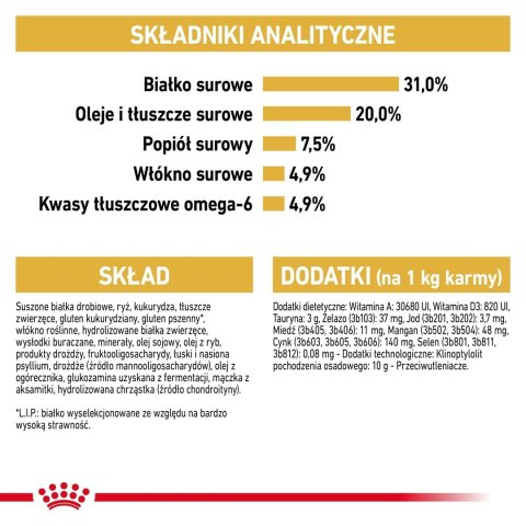 Royal Canin FBN Maine Coon Adult - sucha karma dla kota dorosłego - 4kg