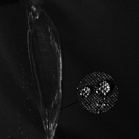 Ściana boczna do namiotu imprezowego INSTENT „PRO" - czarny