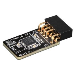 MB ACC TPM MODULE/GC-TPM2.0 SPI V2 1.0 GIGABYTE