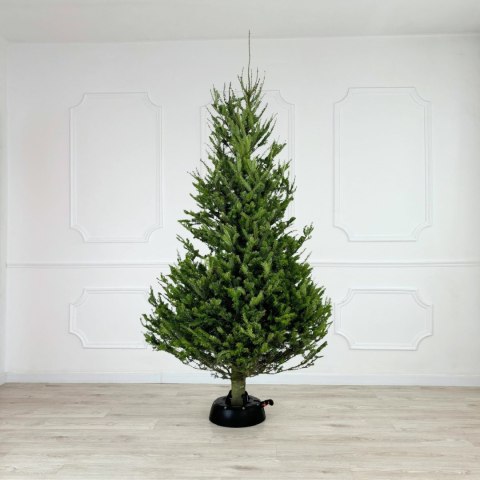 Stojak choinkowy KAMAI START 2.0D Antracyt