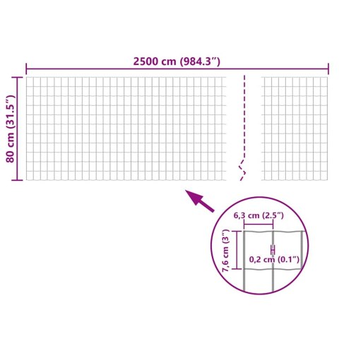 Euro ogrodzenie, stalowe, 25 x 0,8 m, zielone