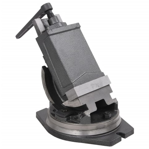 Imadło uchylno-obrotowe, 2-osiowe, 160 mm