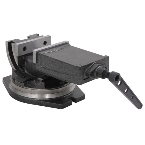 Imadło uchylno-obrotowe, 2-osiowe, 160 mm