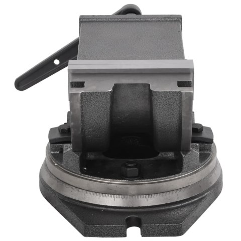 Imadło uchylno-obrotowe, 2-osiowe, 160 mm