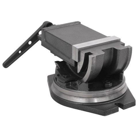 Imadło uchylno-obrotowe, 2-osiowe, 160 mm