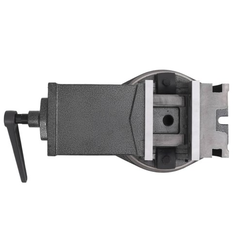 Imadło uchylno-obrotowe, 2-osiowe, 160 mm