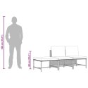 3-częściowa sofa do ogrodu, z poduszkami, szara, polirattanowa