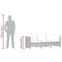 3-osobowa sofa ogrodowa z poduszkami, szara, polirattanowa
