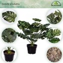 PLANTASIA Sztuczna roślina monstera 60 cm