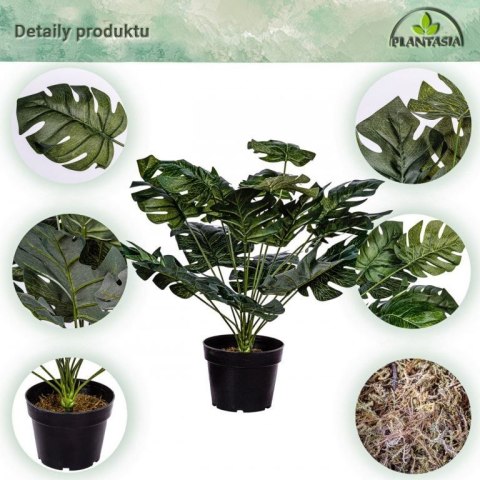 PLANTASIA Sztuczna roślina monstera 60 cm