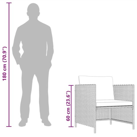 Sofa ogrodowa z poduszkami, szara, polirattanowa