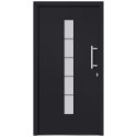 Drzwi zewnętrzne, aluminium i PVC, antracytowe, 100x200 cm