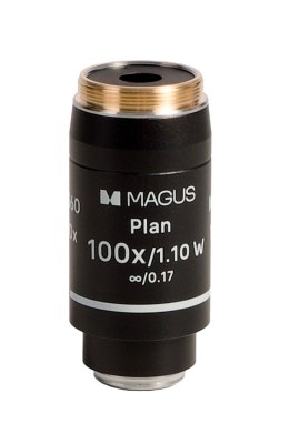 Obiektyw MAGUS 100PL60 W Plan 100х/1,10 ∞/0,17 H60 mm