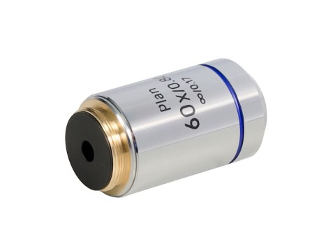Obiektyw MAGUS 60PL Plan 60х/0,80 ∞/0,17