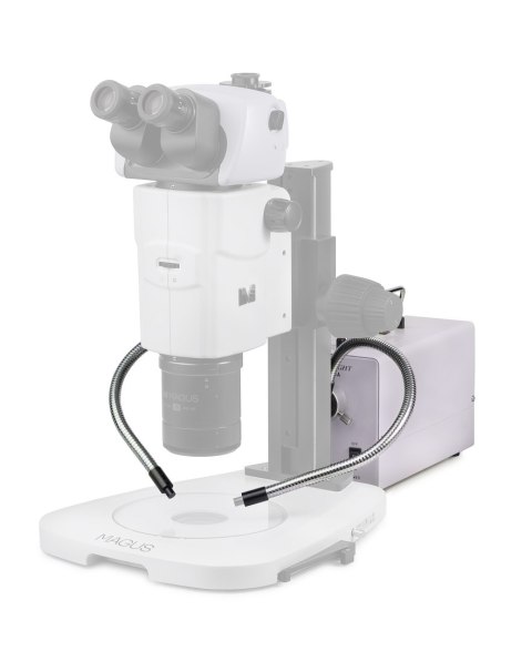 Oświetlenie zimne MAGUS CLI18T z podwójnym światłowodem