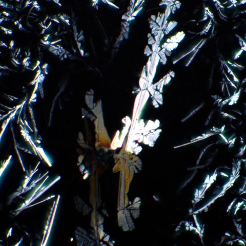 Zestaw polaryzator/analizator MAGUS SPD3